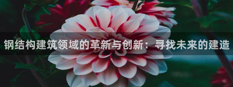 安信可12f12e：钢结构建筑领域的革新与创新：寻找未来的建造