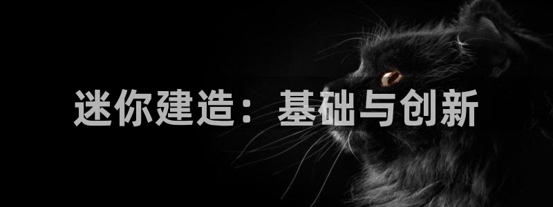 安信证券 12位：迷你建造：基础与创新