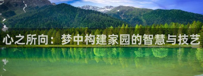 安信12代理：心之所向：梦中构建家园的智慧与技艺