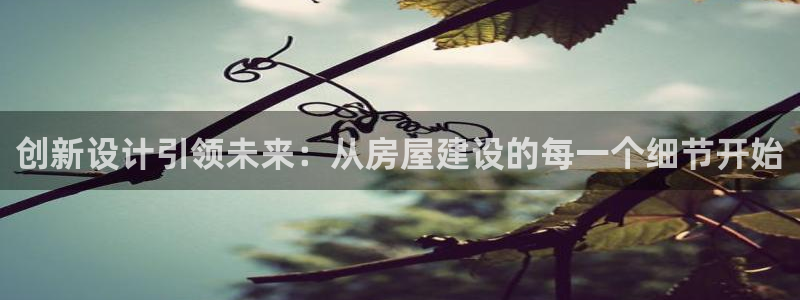 安信12是什么：创新设计引领未来：从房屋建设的每一个细节开始