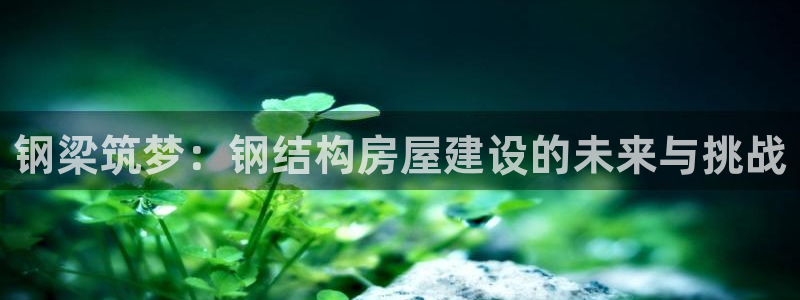 安信12是啥：钢梁筑梦：钢结构房屋建设的未来与挑战