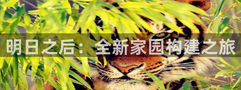 安信esp12k