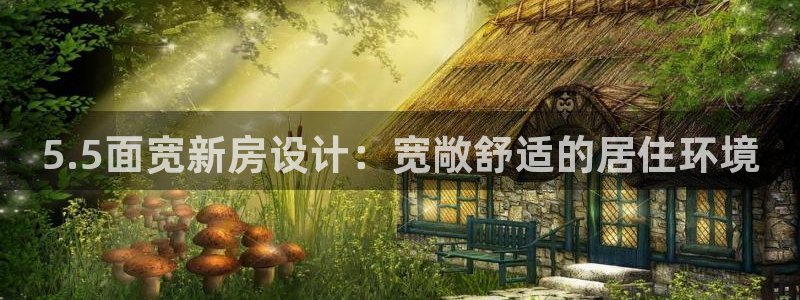 安信12注册登录下戴：5.5面宽新房设计：宽敞舒适的居住环境