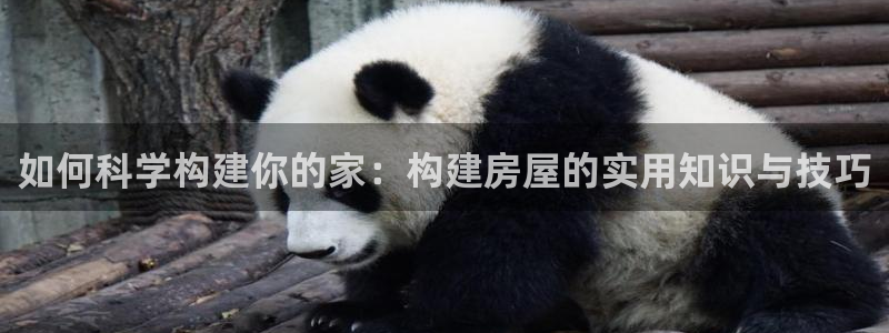安信12平台最新消息