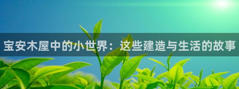 安信cw12系列