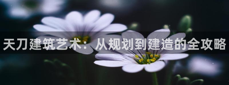 安信安盈12最新消息