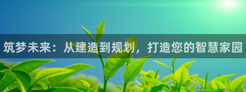安信12月金股：筑梦未来：从建造到规划，打造您的智慧家园