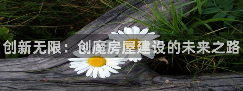 安信12登录：创新无限：创魔房屋建设的未来之路