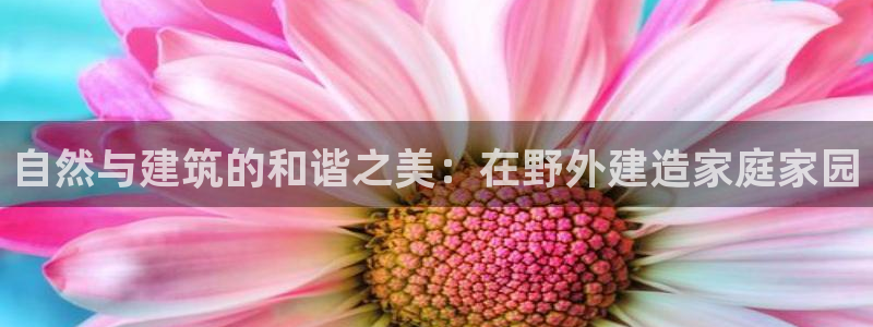 信安12乐打棒：自然与建筑的和谐之美：在野外建造家庭家园