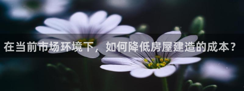 安信可12f：在当前市场环境下，如何降低房屋建造的成本？