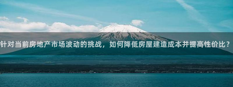 安信12是什么软件：针对当前房地产市场波动的挑战，如何降低房屋建造成本并提高性价比？