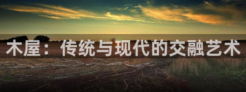如何注销安信12软件：木屋：传统与现代的交融艺术