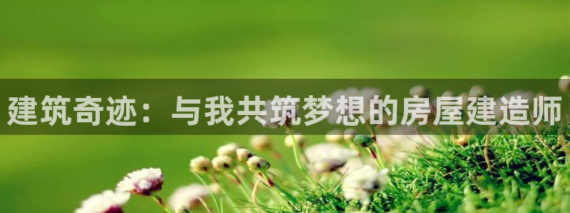 安信可12f：建筑奇迹：与我共筑梦想的房屋建造师