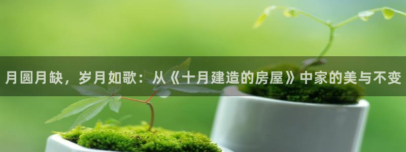 安信12赛车：月圆月缺，岁月如歌：从《十月建造的房屋》中家的美与不变