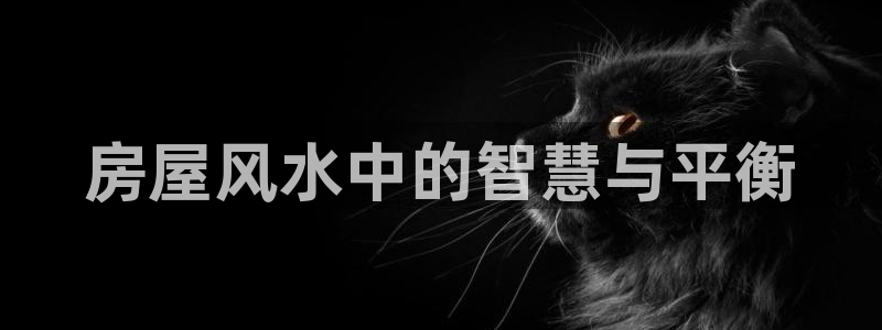 安信esp 12k：房屋风水中的智慧与平衡