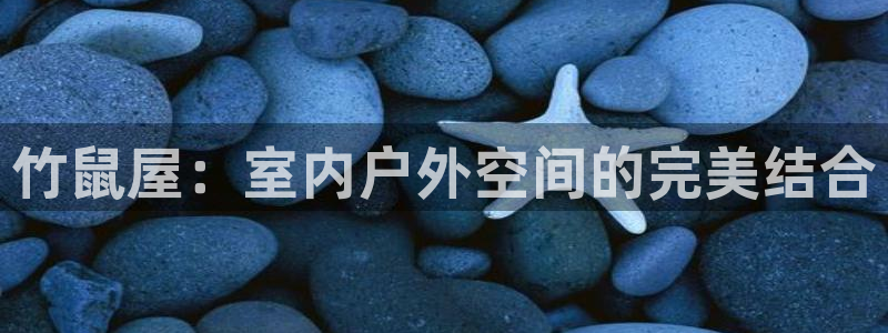 安信12是啥