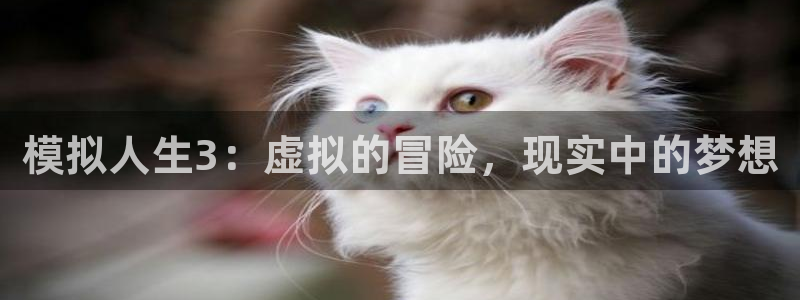 安信12位资金账号：模拟人生3：虚拟的冒险，现实中的梦想