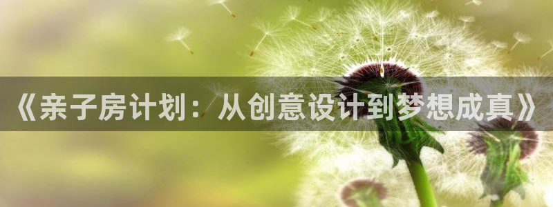 安信12网站：《亲子房计划：从创意设计到梦想成真》