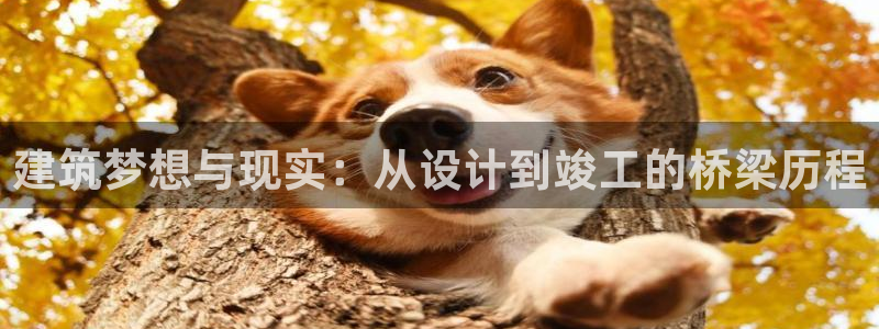 安信12登录：建筑梦想与现实：从设计到竣工的桥梁历程