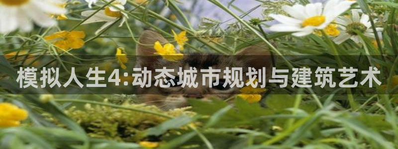 安信安赢12号：模拟人生4:动态城市规划与建筑艺术