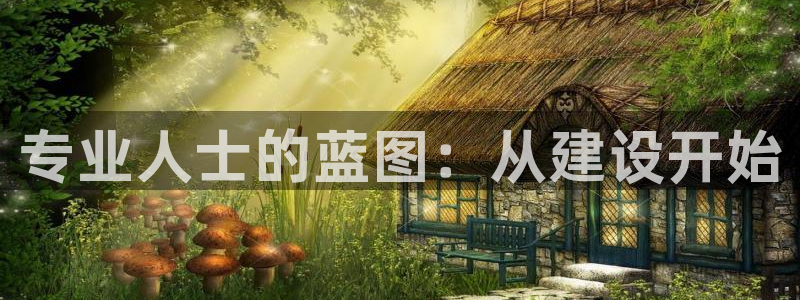 安信可12e12f：专业人士的蓝图：从建设开始