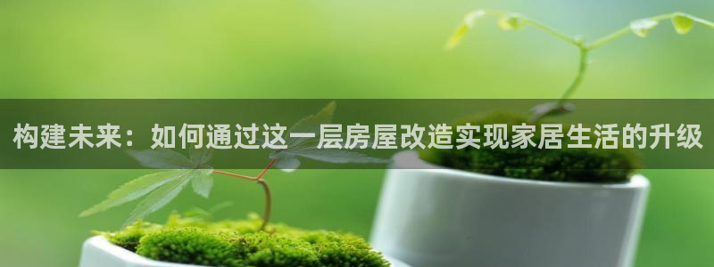 安信12登录：构建未来：如何通过这一层房屋改造实现家居生活的升级