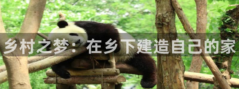 安信12是正规平台吗：乡村之梦：在乡下建造自己的家