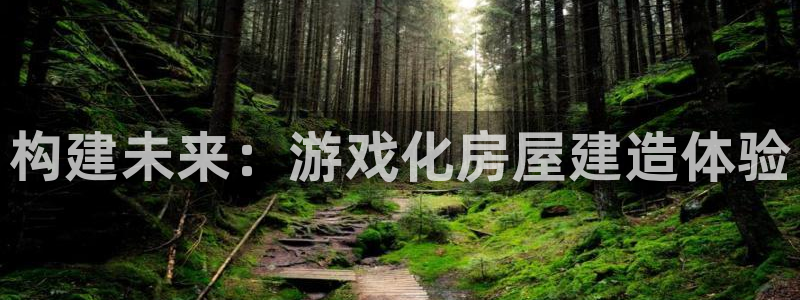 安信12注册登录平台：构建未来：游戏化房屋建造体验