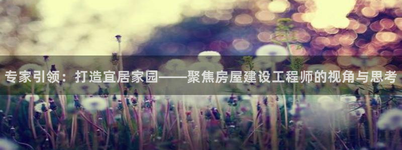 安信12级灯牌：专家引领：打造宜居家园——聚焦房屋建设工程师的视角与思考