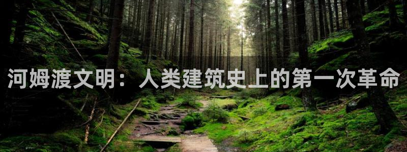 安信esp12：河姆渡文明：人类建筑史上的第一次革命