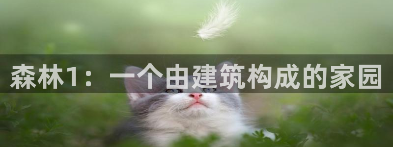 信安12：森林1：一个由建筑构成的家园