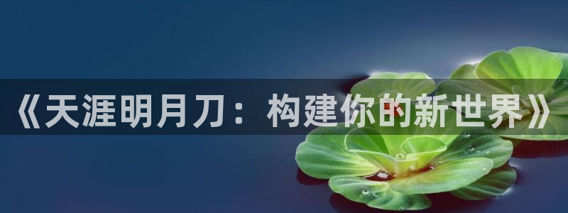 安信12彩票：《天涯明月刀：构建你的新世界》