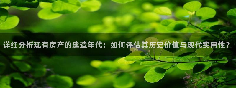 安信12彩票app下载：详细分析现有房产的建造年代：如何评估其历史价值与现代实用性？