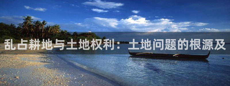 安信12是做什么：乱占耕地与土地权利：土地问题的根源及