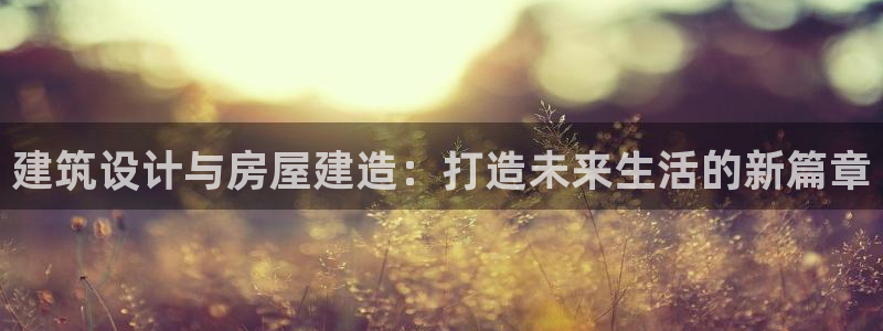 安信12是做什么：建筑设计与房屋建造：打造未来生活的新篇章