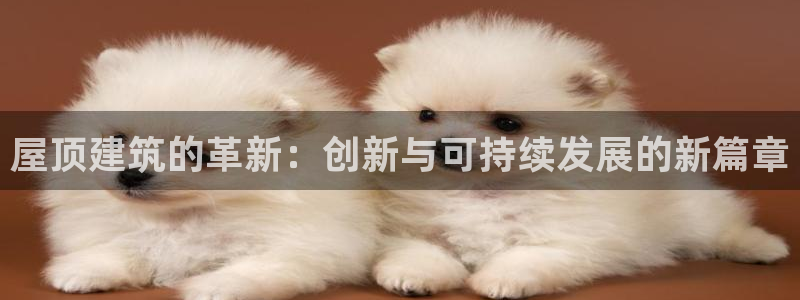 下载安信12：屋顶建筑的革新：创新与可持续发展的新篇章