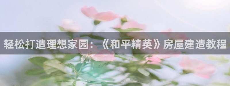 安信12注册登录下戴：轻松打造理想家园：《和平精英》房屋建造教程
