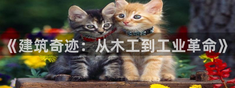 安信卓越12月：《建筑奇迹：从木工到工业革命》