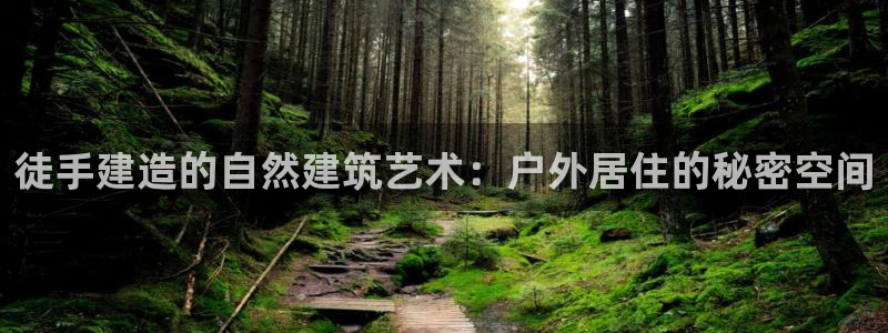 安信12平台：徒手建造的自然建筑艺术：户外居住的秘密空间
