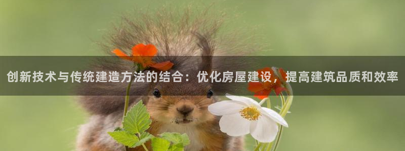安信12位数资金号：创新技术与传统建造方法的结合：优化房屋建设，提高建筑品质和效率