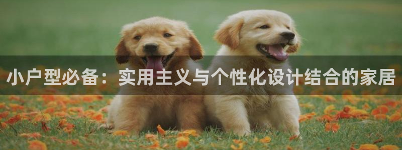 安信esp 12k：小户型必备：实用主义与个性化设计结合的家居