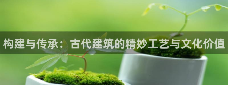安信esp 12k：构建与传承：古代建筑的精妙工艺与文化价值