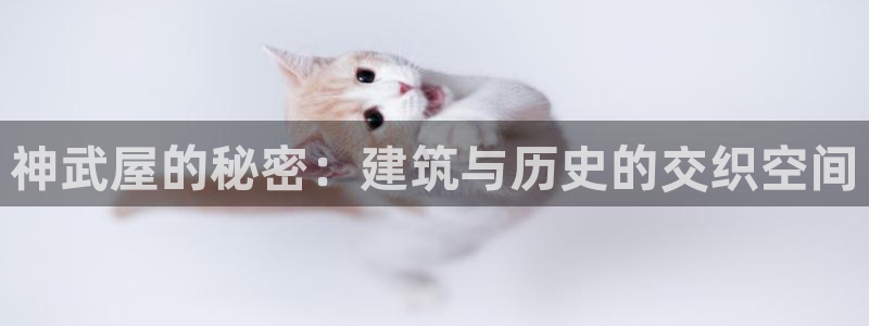 安信12平台可靠吗：神武屋的秘密：建筑与历史的交织空间
