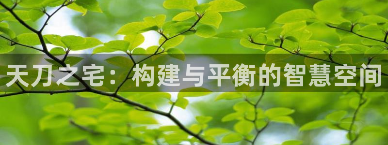 安信可f12：天刀之宅：构建与平衡的智慧空间