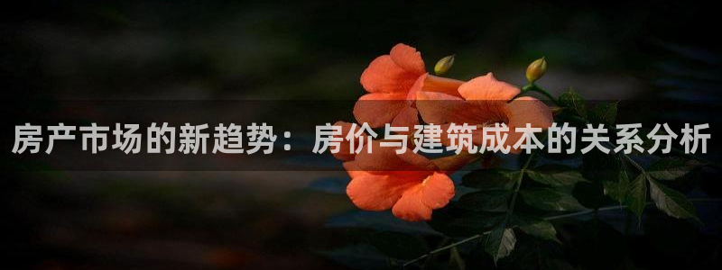 信安杯12：房产市场的新趋势：房价与建筑成本的关系分析