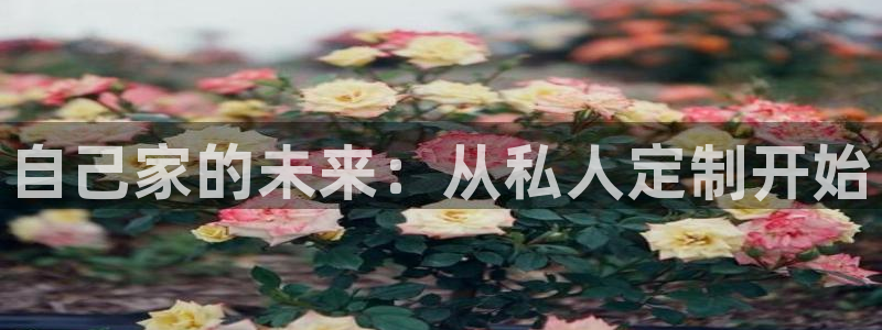 安信可wb12：自己家的未来：从私人定制开始