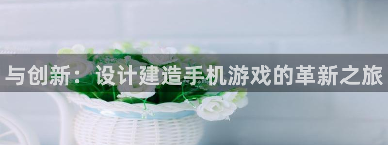 信安12乐打棒：与创新：设计建造手机游戏的革新之旅