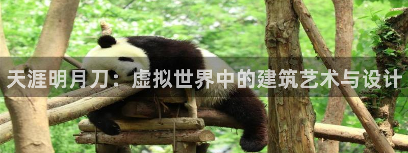 安信12级大众：天涯明月刀：虚拟世界中的建筑艺术与设计