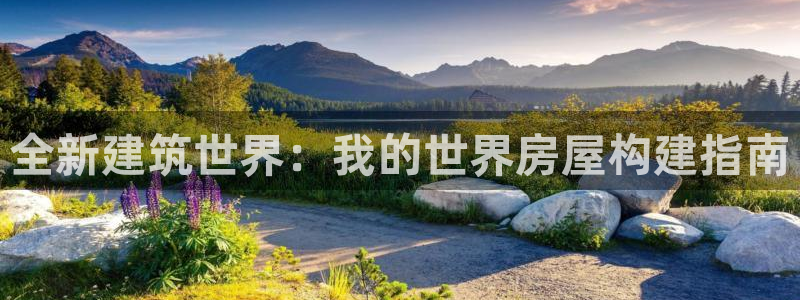 安信12平台注册：全新建筑世界：我的世界房屋构建指南
