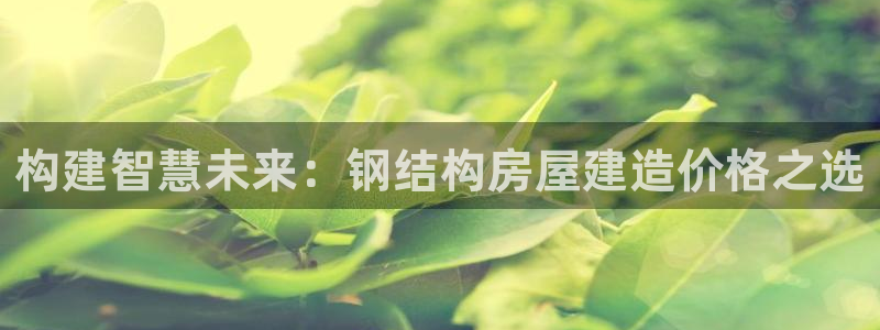 安信12娱乐招商探索空间：构建智慧未来：钢结构房屋建造价格之选
